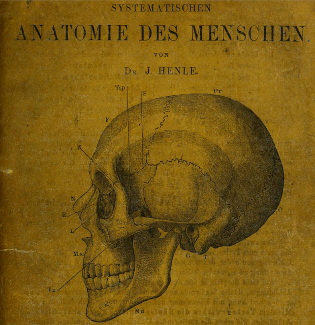 Front page of "Handbuch der Knochenlehre des Menschen" by Jacob Henle (1855) (via Wellcome Library)